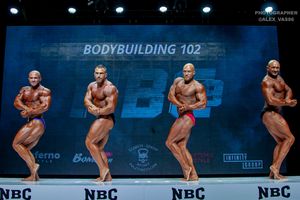 BODYBUILDING 102